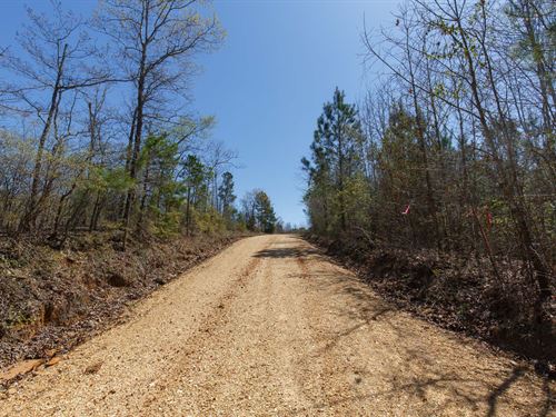 $999 Down/Own Land Today : Tishomingo : Mississippi