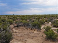 5 Acres in Alamosa County, CO : Alamosa : Colorado