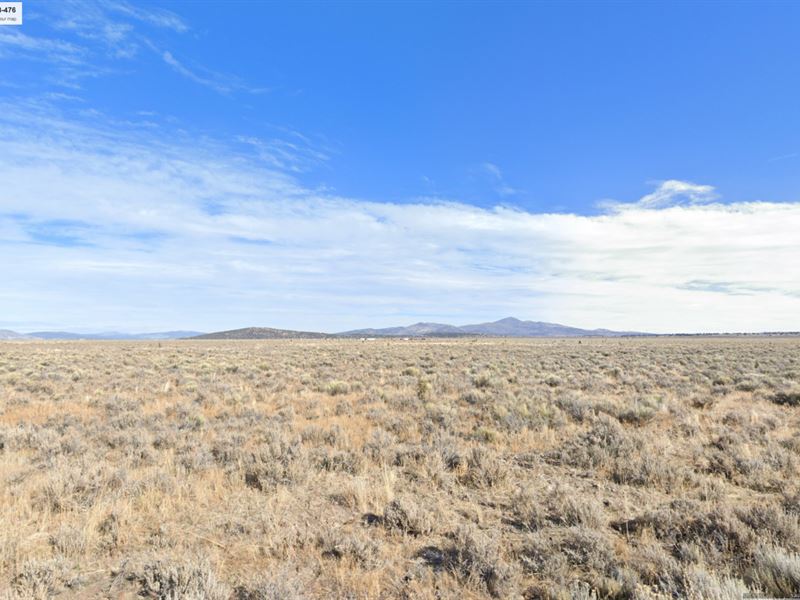 20 Acres in Lassen County, CA : Termo : Lassen County : California