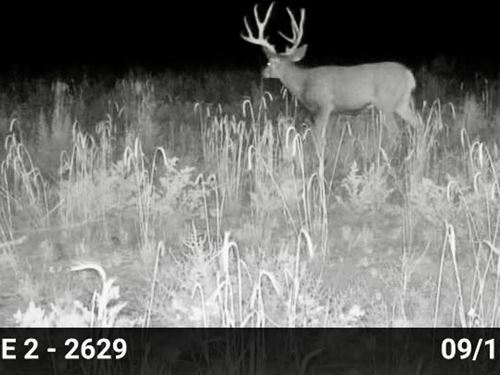 What a View Ranch : Lindrith : Rio Arriba County : New Mexico