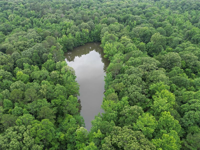 45.21 Acres in Yazoo County, MS : Benton : Yazoo County : Mississippi