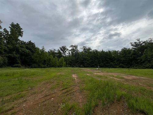 80 Acres in Claiborne Parish, LA : Lisbon : Claiborne Parish : Louisiana