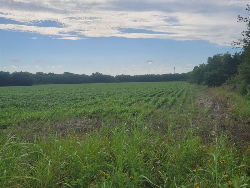 Farm Land for Sale in Deport, TX : Deport : Lamar County : Texas