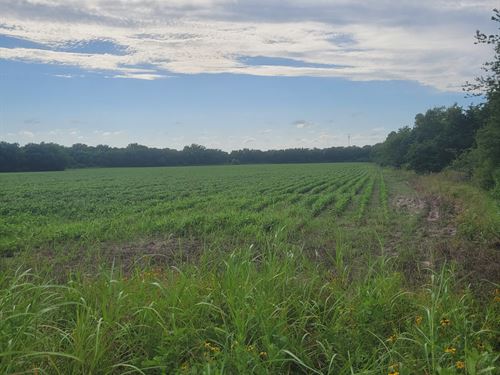 Farm Land for Sale in Deport, TX : Deport : Lamar County : Texas