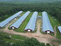 4 House Broiler Poultry Farm : Waco : Haralson County : Georgia