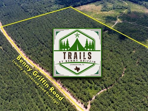 10.5 Acres, T-8, Trails at Benny : Dallardsville : Polk County : Texas
