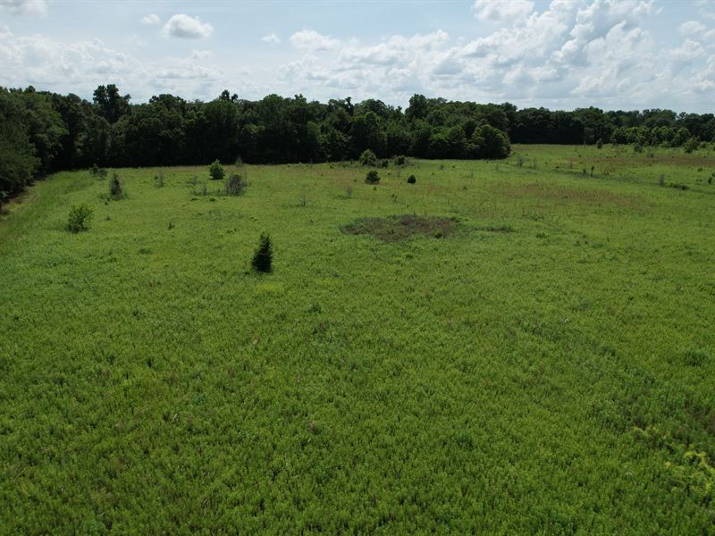 35 Acre Tract with I-85 Road Fron : Shorter : Macon County : Alabama