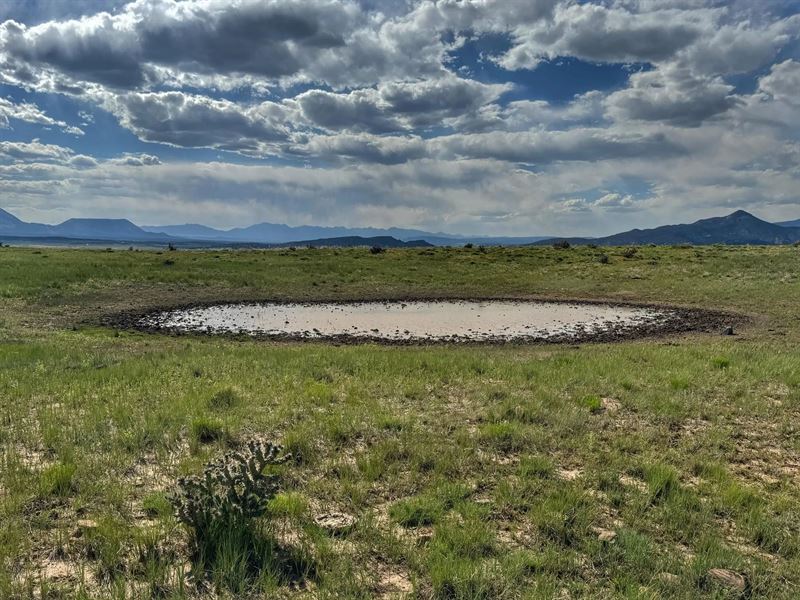 19 Majors Ranch, Walsenburg, CO 810 : Walsenburg : Huerfano County : Colorado