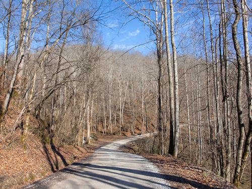 Off Grid Land : Ogle : Clay County : Kentucky