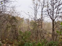 No Credit Check Land, $499 Down : Hyden : Leslie County : Kentucky
