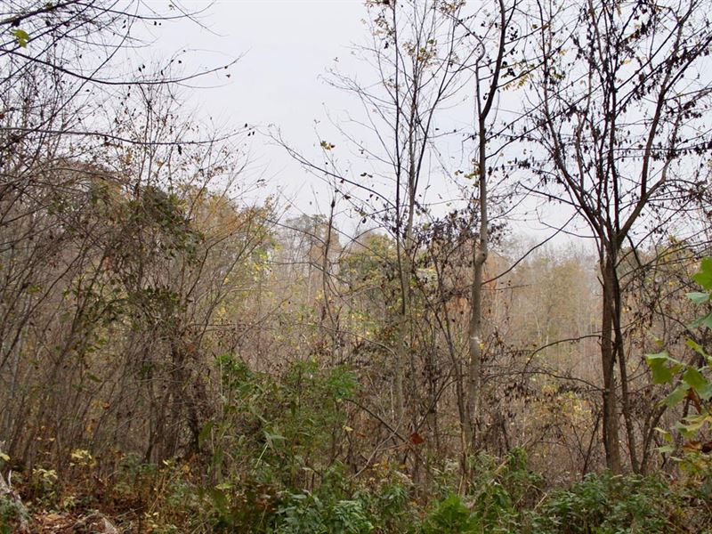 No Credit Check Land, $499 Down : Hyden : Leslie County : Kentucky