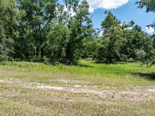 Gorgeous 5 Acre Parcel : Live Oak : Suwannee County : Florida
