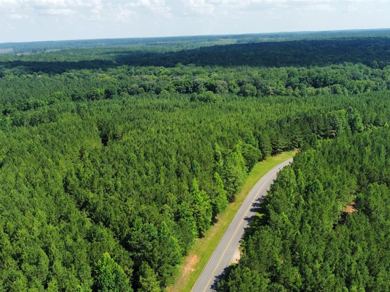 30 Acres Harris Co. GA : Hamilton : Harris County : Georgia