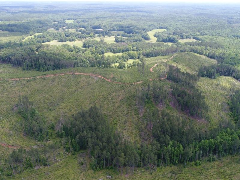 263 Acres Goodwater, AL : Goodwater : Clay County : Alabama