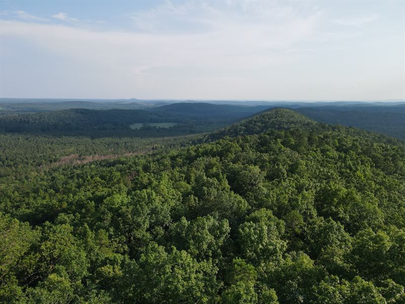 Jett Mountain, 80 Acres in Clay : Ashland : Clay County : Alabama