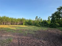 11.34 Acres, Camp Hill, Tallapo : Camp Hill : Tallapoosa County : Alabama