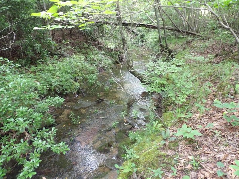 Creek, Paved Frontage : Evensville : Bledsoe County : Tennessee