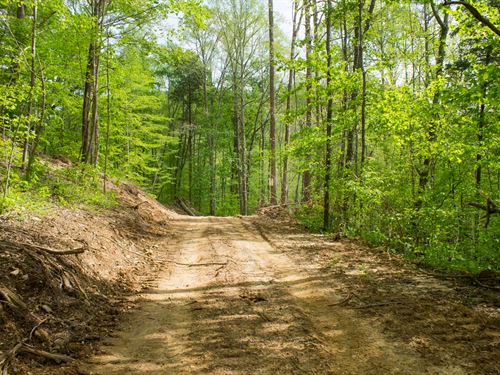 $999 Down, No Credit Check : Mount Vernon : Rockcastle County : Kentucky