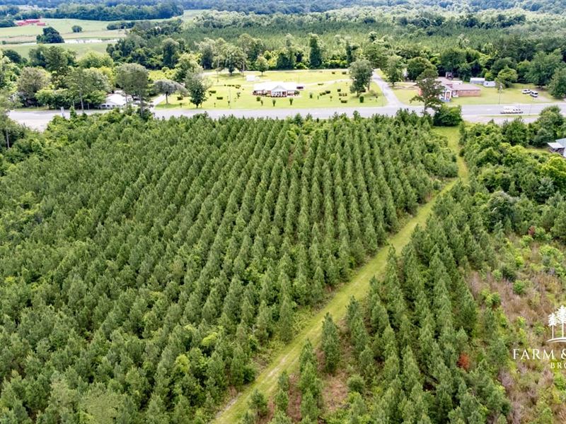 Quail Call Heights, 84 Ac Developm : Cottondale : Jackson County : Florida