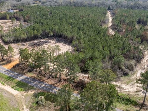 5 Ac Geneva Co, County Road 99 : Chancellor : Geneva County : Alabama