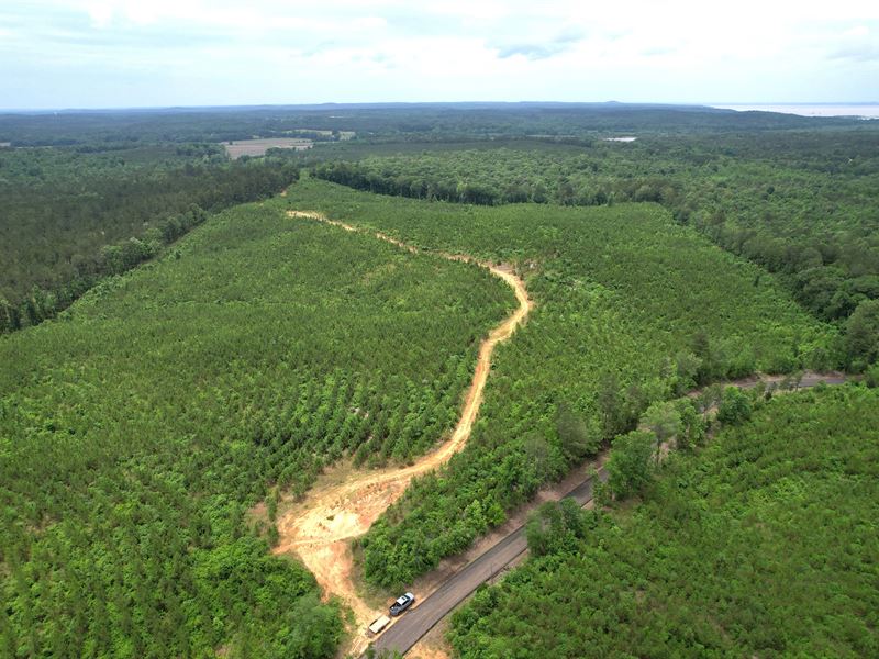 99 Acres in Grenada County, MS : Gore Springs : Grenada County : Mississippi