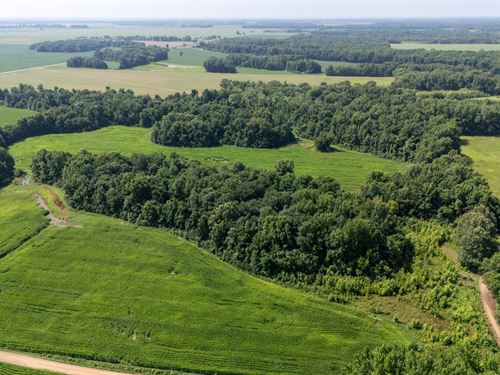 The Marvell 21 : Marvell : Phillips County : Arkansas