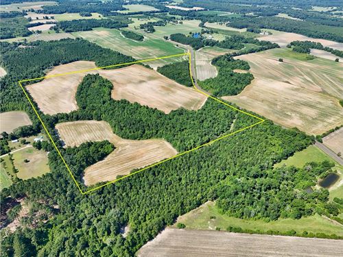 Dupree Tract : Ashford : Houston County : Alabama