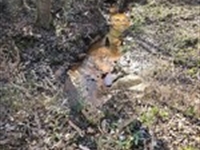 310 to Yuma : Ariton : Dale County : Alabama