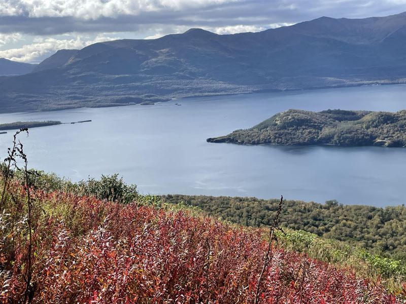 Amook Island Cabin : Larsen Bay : Kodiak Island Borough : Alaska