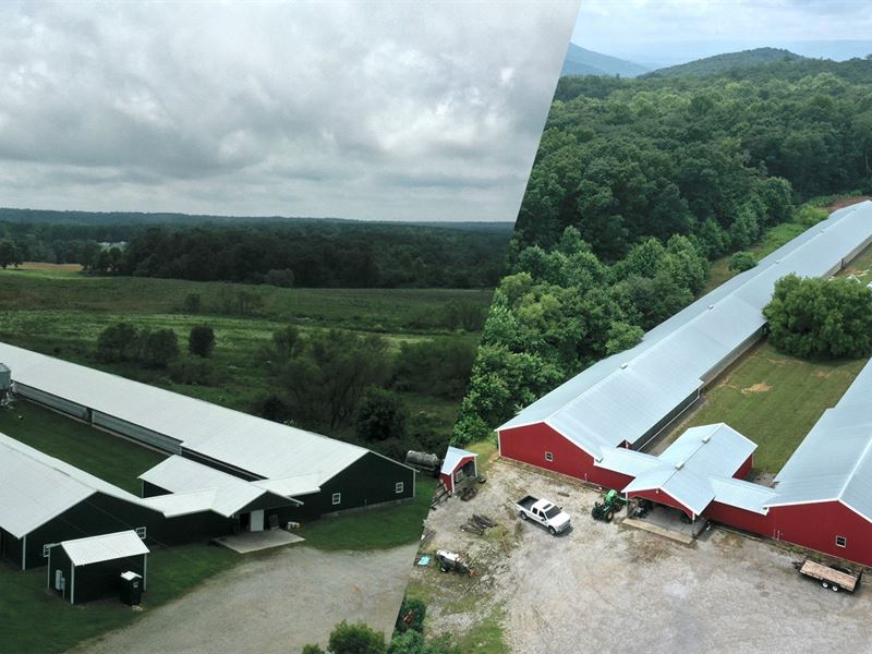 Ritchey Breeder Farm : Pikeville : Bledsoe County : Tennessee
