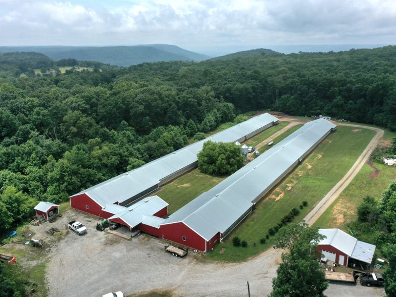 Ritchey Breeder Farm : Pikeville : Bledsoe County : Tennessee