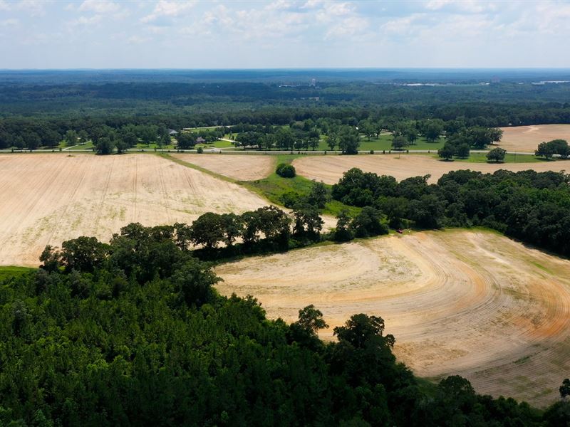 Ag, Hunting, Geneva Co, AL : Geneva : Geneva County : Alabama