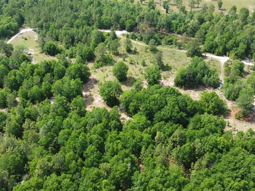 Peaceful Level Land with Power : Windsor : Aiken County : South Carolina