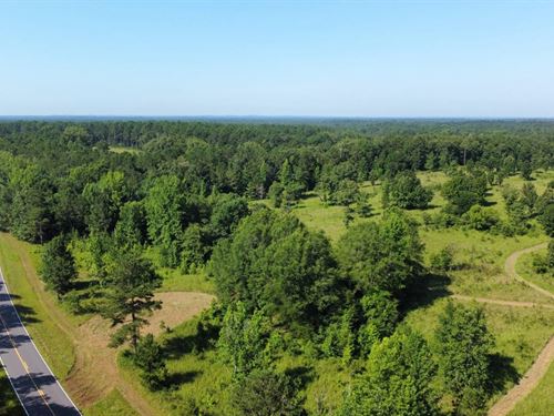 33 Acres Russell Co. AL : Pittsview : Russell County : Alabama