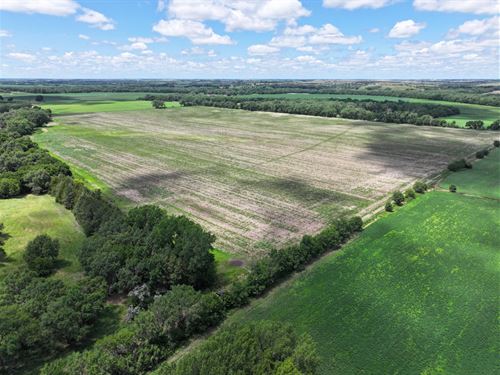 111 Acres, Webster River Bottom : Red Cloud : Webster County : Nebraska