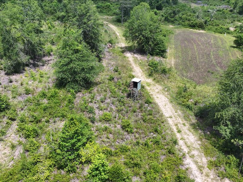 Eighty Is Enough : Ariton : Dale County : Alabama