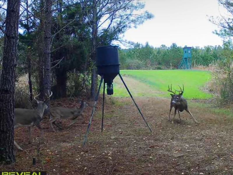 166.9 Acres in Monroe County, MS : Greenwood Springs : Monroe County : Mississippi