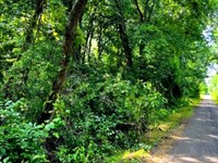 Build or Mobile Homes Lot : Marengo : Crawford County : Indiana