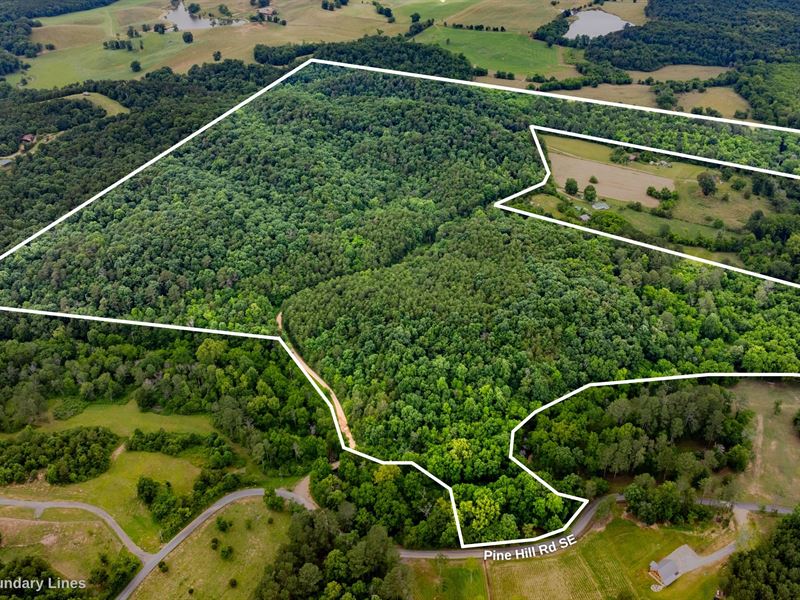 116.93 +/- Acres in Middle GA : Rydal : Gordon County : Georgia