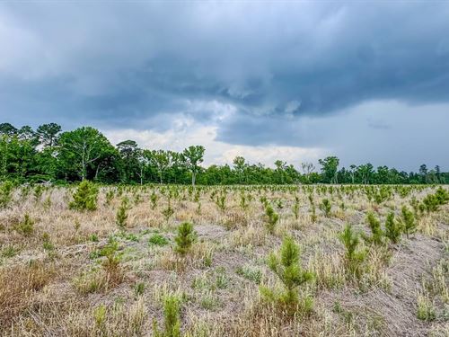 Bulloch Sands 11 : Statesboro : Bulloch County : Georgia