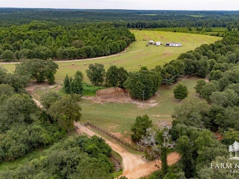 79 Ac Geneva Co, McCollough Road : Coffee Springs : Geneva County : Alabama