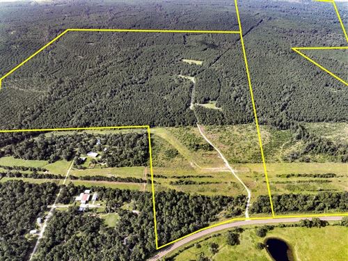 432 Acres, T-6, FM 2989 : Huntsville : Walker County : Texas