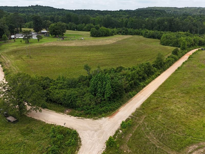 17.5 Ac. County Road 865 : Collinsville : Dekalb County : Alabama