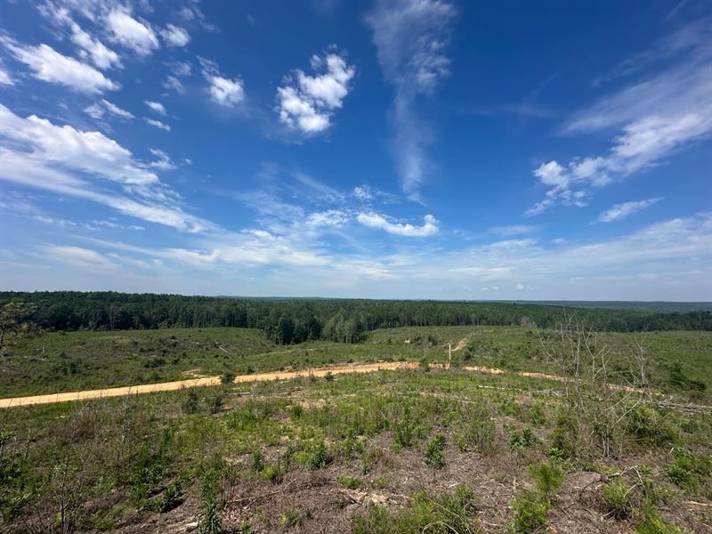 180 Acres in Chilton County, AL : Maplesville : Chilton County : Alabama