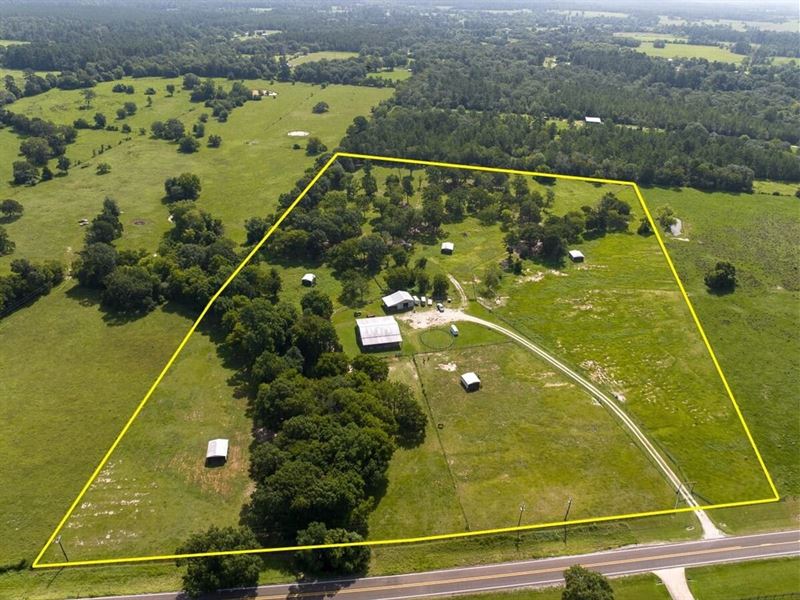 20 Acres, FM 3179 : Huntsville : Walker County : Texas