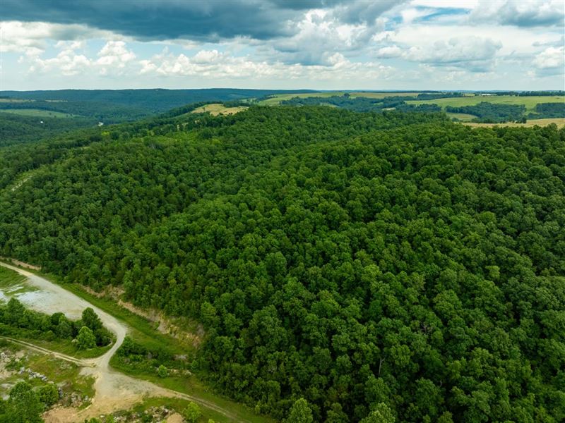 30 Acres, Hunting Property, Wood : Mountain View : Stone County : Arkansas