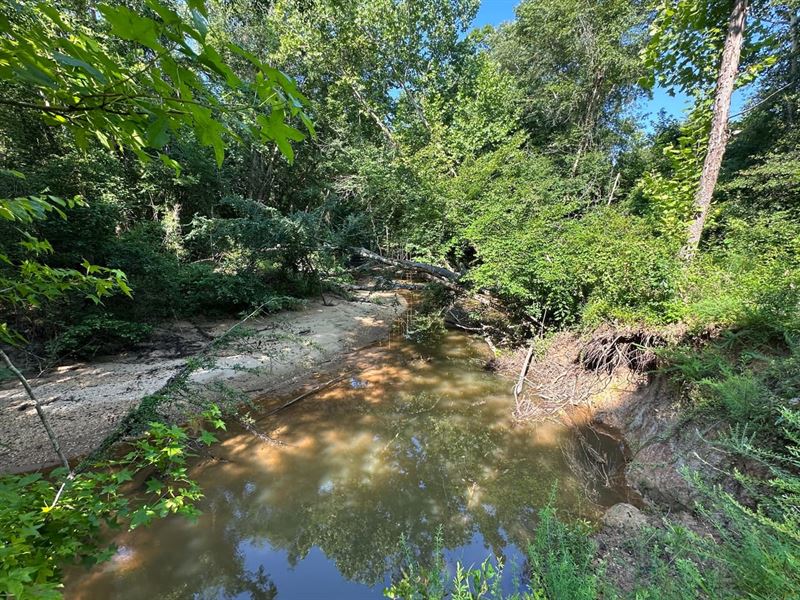 25 Acres on Sandy Creek in Bibb : Centreville : Bibb County : Alabama