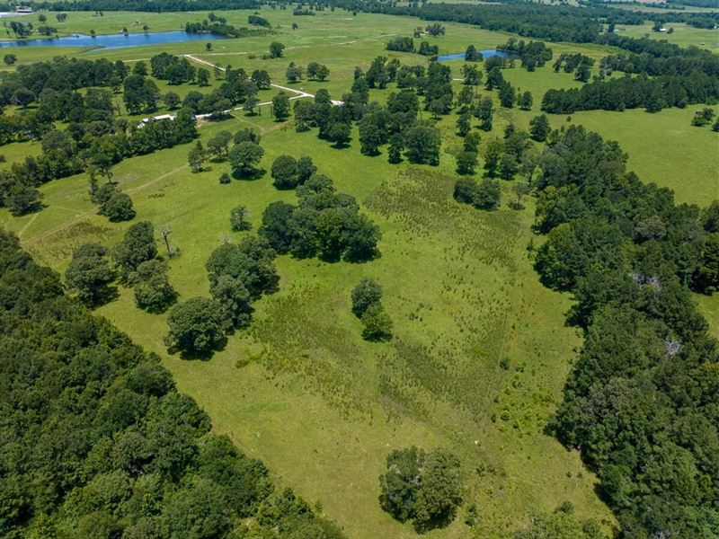 10 Acres, Live Oak Court : Crockett : Houston County : Texas