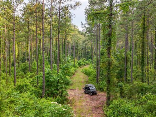 Price Reduced, 96 Acres, Homestea : Hamilton : Harris County : Georgia