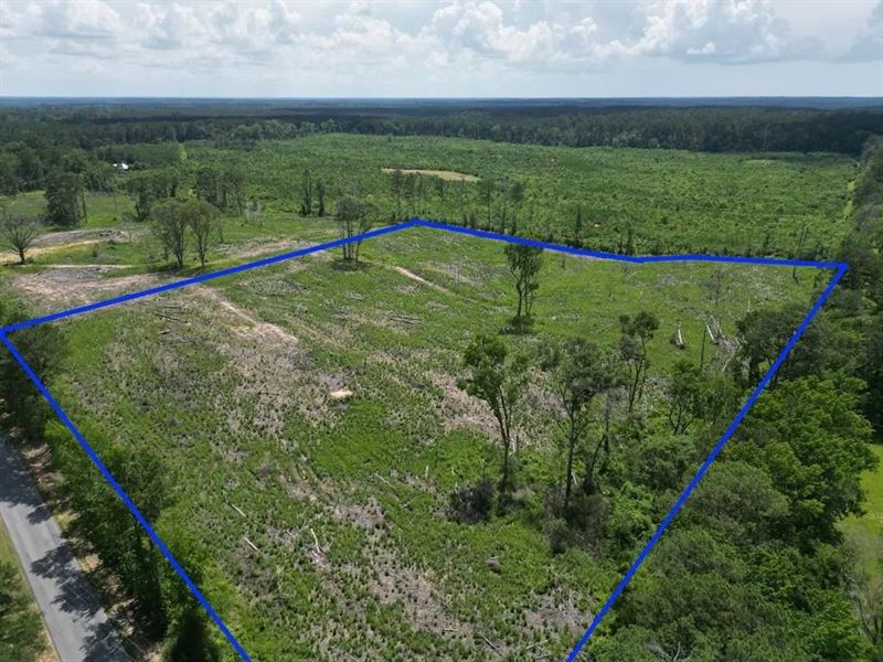 Land for Sale in Amite County, MS : Liberty : Amite County : Mississippi